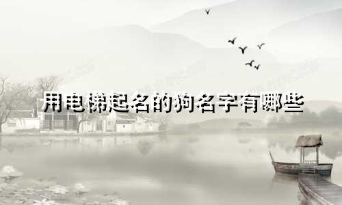 用电梯起名的狗名字有哪些