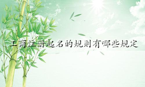 工商注册起名的规则有哪些规定