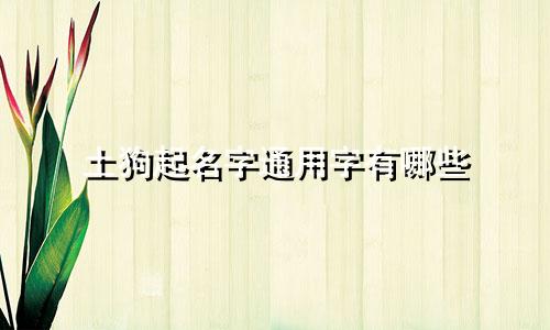土狗起名字通用字有哪些