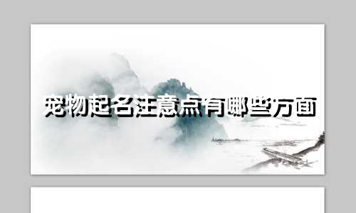 宠物起名注意点有哪些方面