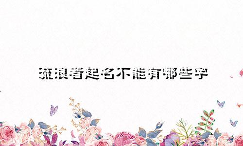 流浪者起名不能有哪些字