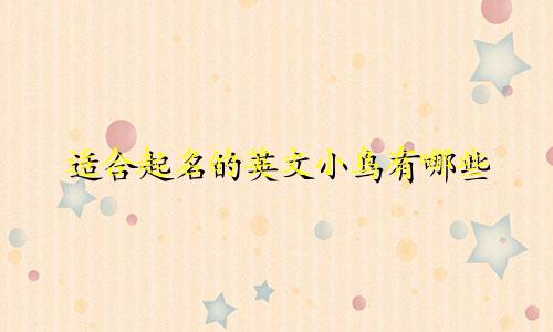 适合起名的英文小鸟有哪些
