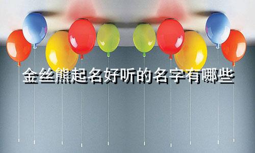 金丝熊起名好听的名字有哪些