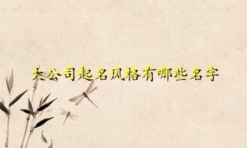 大公司起名风格有哪些名字