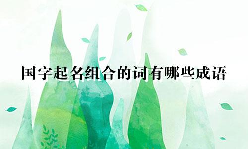 国字起名组合的词有哪些成语