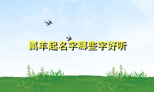 属羊起名字哪些字好听