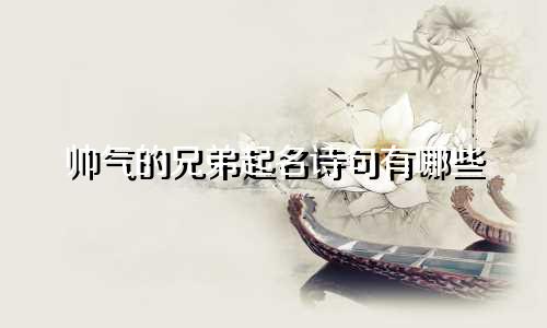 帅气的兄弟起名诗句有哪些
