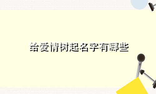 给爱情树起名字有哪些