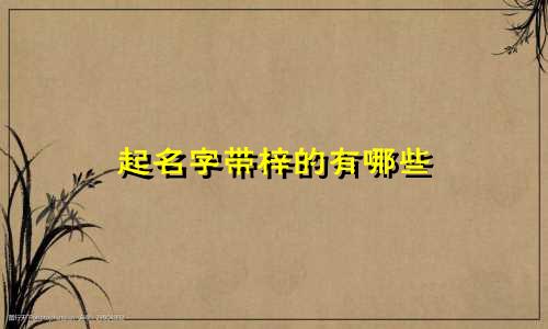 起名字带梓的有哪些