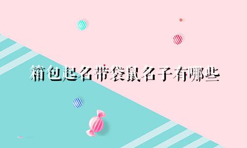 箱包起名带袋鼠名子有哪些