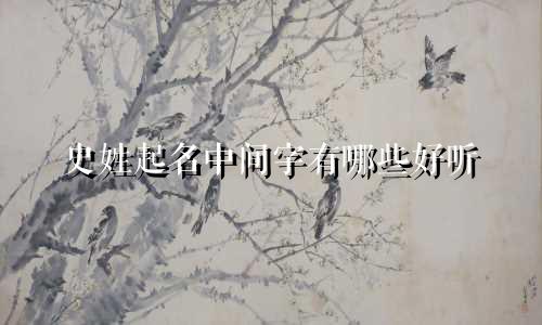 史姓起名中间字有哪些好听