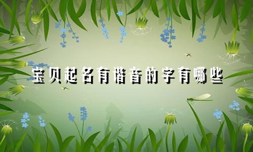 宝贝起名有谐音的字有哪些