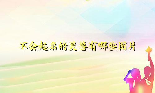 不会起名的灵兽有哪些图片