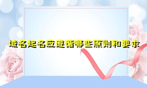 域名起名应遵循哪些原则和要求