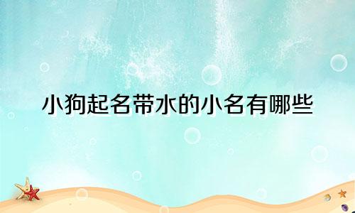 小狗起名带水的小名有哪些