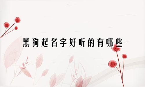 黑狗起名字好听的有哪些