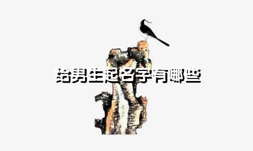 给男生起名字有哪些