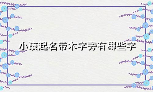 小孩起名带木字旁有哪些字