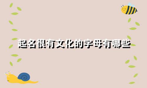 起名很有文化的字母有哪些