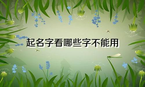 起名字看哪些字不能用