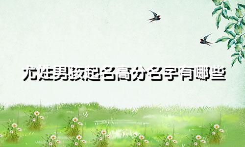 尤姓男孩起名高分名字有哪些