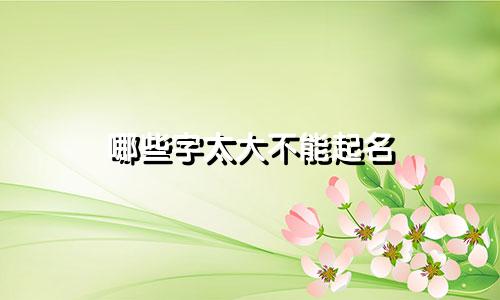 哪些字太大不能起名 天 仙