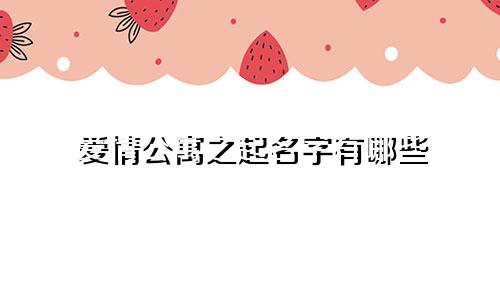 爱情公寓之起名字有哪些