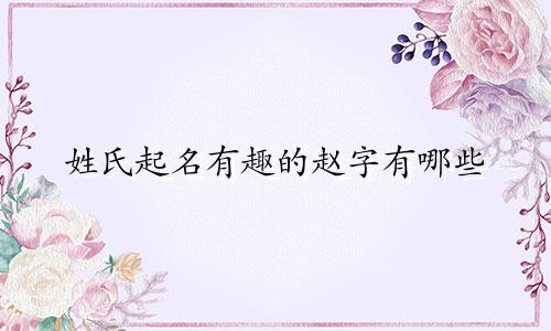 姓氏起名有趣的赵字有哪些