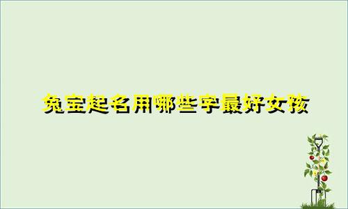 兔宝起名用哪些字最好女孩