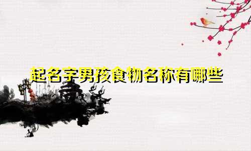 起名字男孩食物名称有哪些