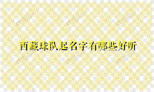 西藏球队起名字有哪些好听