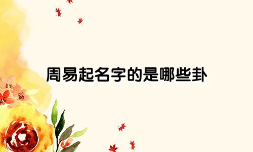 周易起名字的是哪些卦