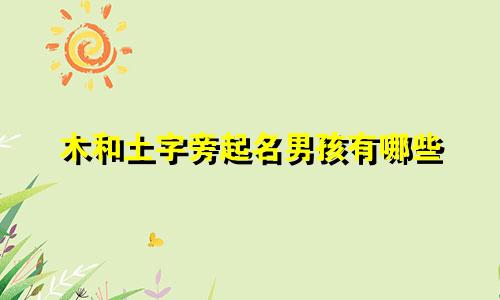 木和土字旁起名男孩有哪些