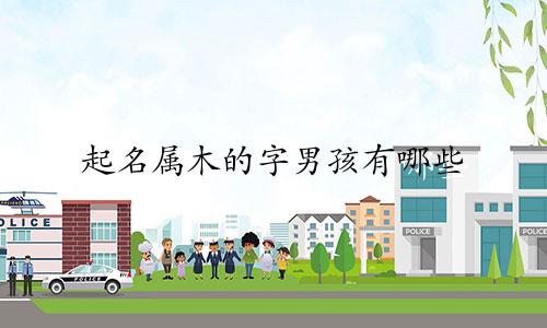 起名属木的字男孩有哪些