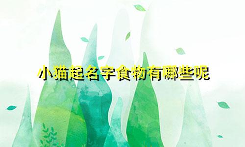 小猫起名字食物有哪些呢