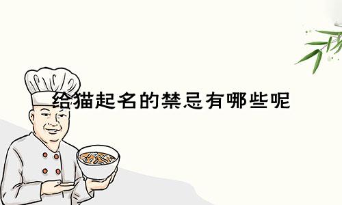 给猫起名的禁忌有哪些呢