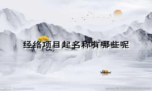 经络项目起名称有哪些呢