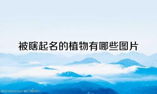 被瞎起名的植物有哪些图片