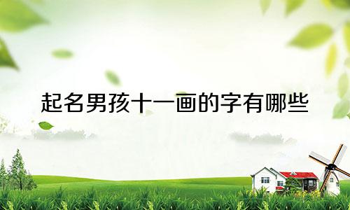 起名男孩十一画的字有哪些