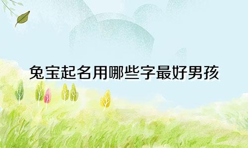 兔宝起名用哪些字最好男孩