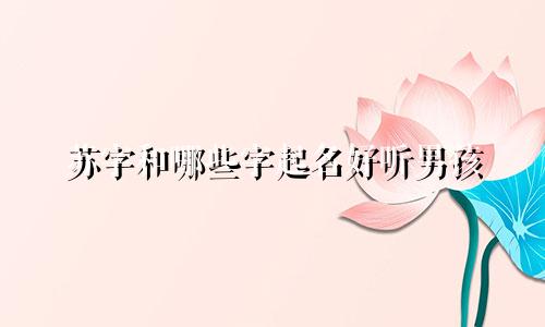 苏字和哪些字起名好听男孩