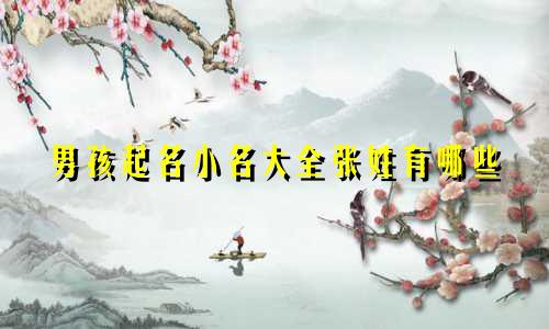 男孩起名小名大全张姓有哪些
