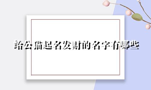 给公猫起名发财的名字有哪些