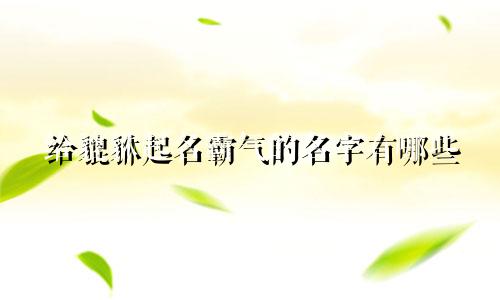 给貔貅起名霸气的名字有哪些