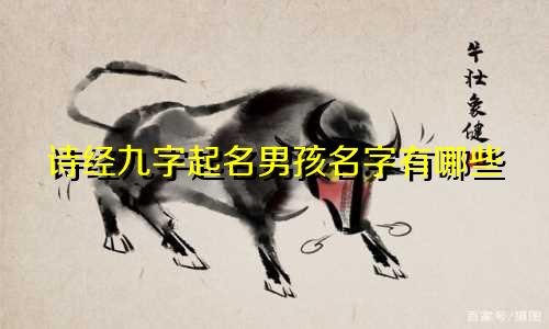 诗经九字起名男孩名字有哪些