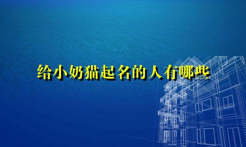 给小奶猫起名的人有哪些