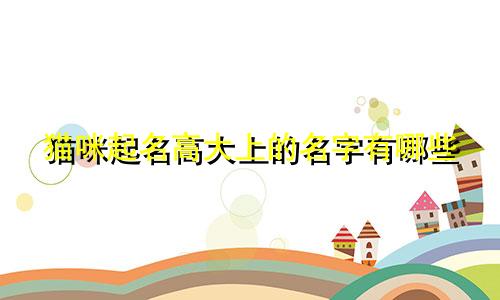 猫咪起名高大上的名字有哪些