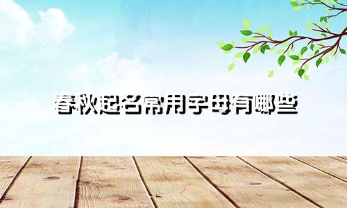 春秋起名常用字母有哪些
