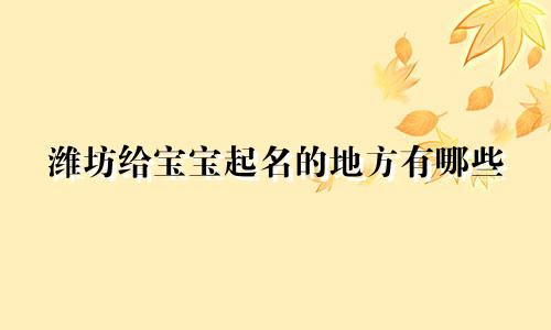 潍坊给宝宝起名的地方有哪些