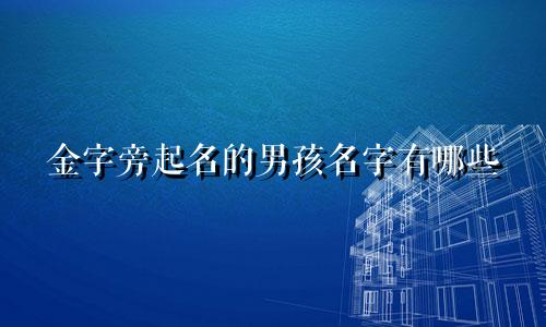金字旁起名的男孩名字有哪些
